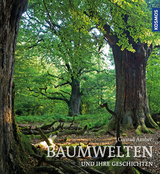 Baumwelten - Conrad Amber