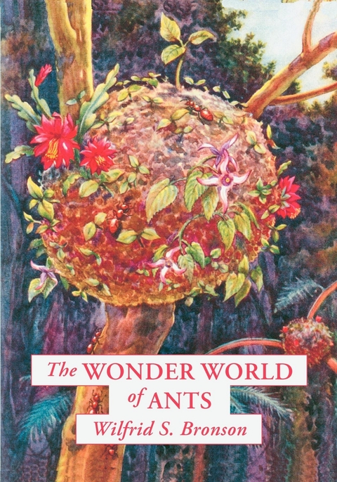 Wonder World of Ants -  Wilfrid S. Bronson