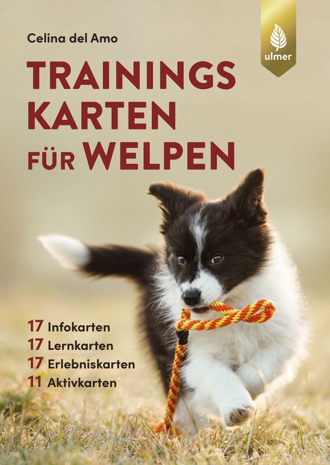 Trainingskarten für Welpen - Celina Del Amo