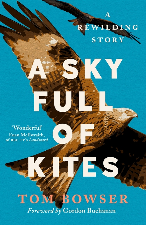 A Sky Full of Kites - Tom Bowser