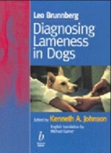 Diagnosing Lameness in Dogs - 