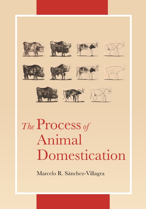 Process of Animal Domestication -  Marcelo Sanchez-Villagra