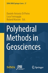 Polyhedral Methods in Geosciences - 