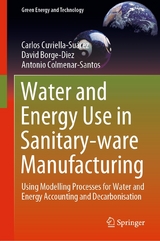 Water and Energy Use in Sanitary-ware Manufacturing -  Carlos Cuviella-Suárez,  David Borge-Diez,  Antonio Colmenar-Santos