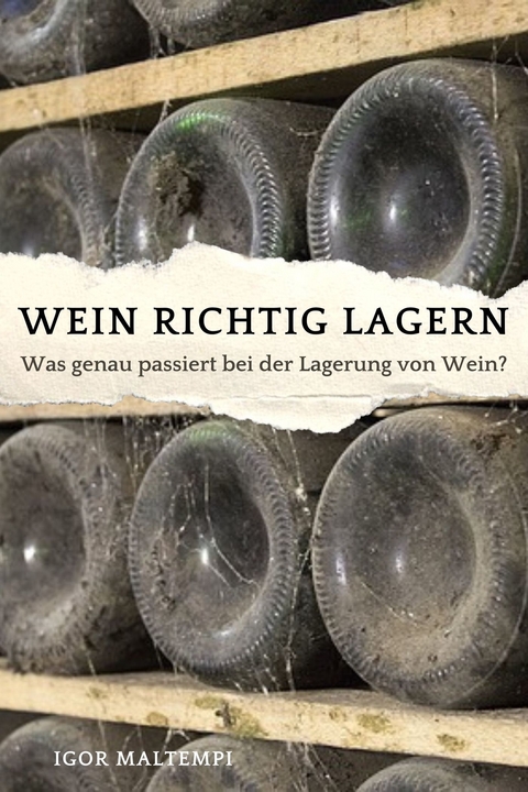 Wein richtig lagern - Igor Maltempi