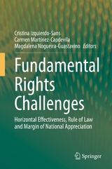 Fundamental Rights Challenges - 