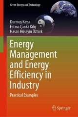 Energy Management and Energy Efficiency in Industry -  Durmu? Kaya,  Fatma Çanka K?l?ç,  Hasan Hüseyin Öztürk