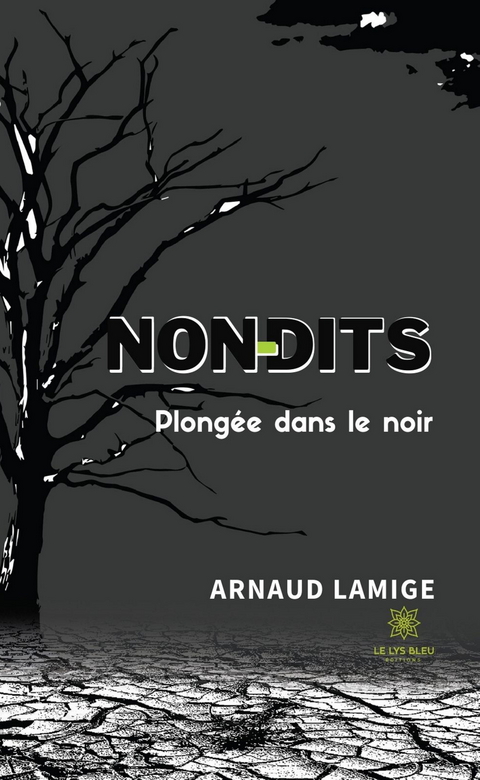 Non dits - Arnaud Lamige