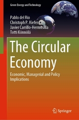 The Circular Economy -  Pablo del Río,  Christoph P. Kiefer,  Javier Carrillo-Hermosilla,  Totti Könnölä