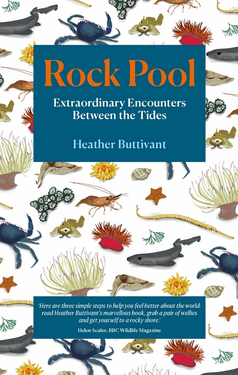 Rock Pool - Heather Buttivant
