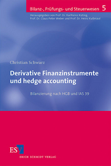 Derivative Finanzinstrumente und hedge accounting - Christian Schwarz