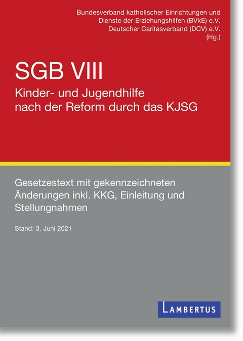 SGB VIII - Kinder- und Jugendhilfe nach der Reform durch das KJSG