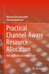 Practical Channel-Aware Resource Allocation - Michael Ghorbanzadeh, Ahmed Abdelhadi