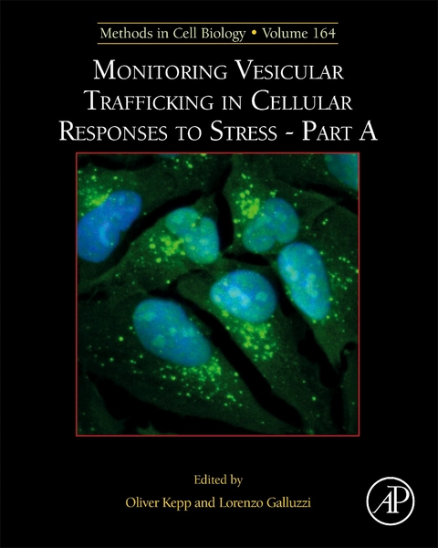 Monitoring Vesicular Trafficking in Cellular Responses to Stress - 