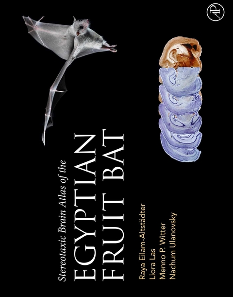 Stereotaxic Brain Atlas of the Egyptian Fruit Bat -  Raya Eilam-Altstadter,  Liora Las,  Nachum Ulanovsky,  Menno Witter