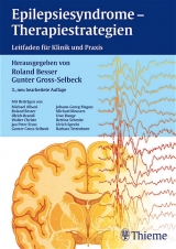 Epilepsiesyndrome - Therapiestrategien - Besser, Roland; Gross-Selbeck, Gunter