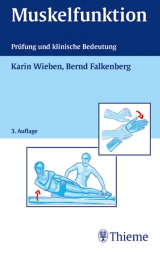 Muskelfunktion - Wieben, Karin; Falkenberg, Bernd