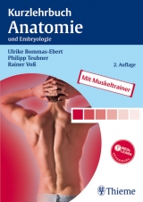 Kurzlehrbuch Anatomie - Bommas-Ebert, Ulrike; Teubner, Philipp; Voß, Rainer