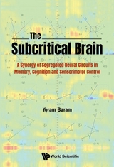 SUBCRITICAL BRAIN, THE - Yoram Baram