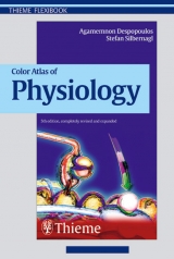 Color Atlas of Physiology - Despopoulos, Agamemnon; Silbernagl, Stefan