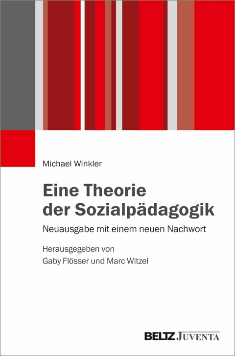 Eine Theorie der Sozialpädagogik -  Michael Winkler