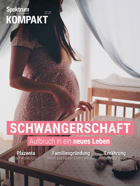 Spektrum Kompakt - Schwangerschaft -  Spektrum der Wissenschaft Verlagsgesellschaft mbH