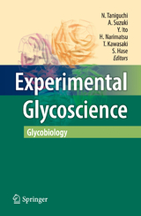 Experimental Glycoscience - 