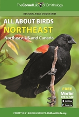 All About Birds Northeast -  Cornell Lab of Ornithology