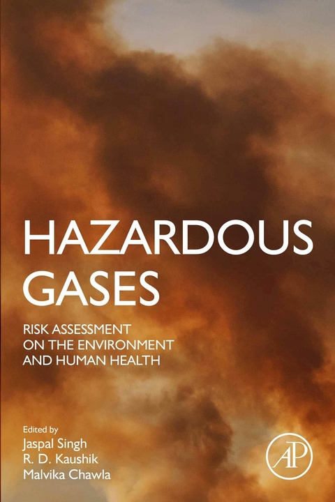 Hazardous Gases - 