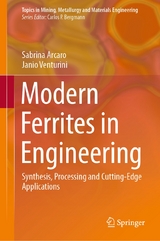 Modern Ferrites in Engineering - Sabrina Arcaro, Janio Venturini
