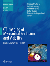 CT Imaging of Myocardial Perfusion and Viability - 