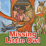 Missing Little Owl -  Christine E. McNulty