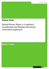 Hybrid Power Plants. A Combined Geothermal and Biomass Electricity Generation Approach - Bastian Görke