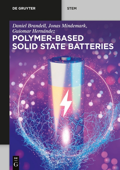 Polymer-based Solid State Batteries - Daniel Brandell, Jonas Mindemark, Guiomar Hernández