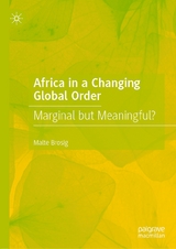 Africa in a Changing Global Order -  Malte Brosig