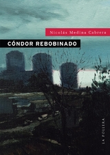 Cóndor  rebobinado - Nicolás Medina Cabrera