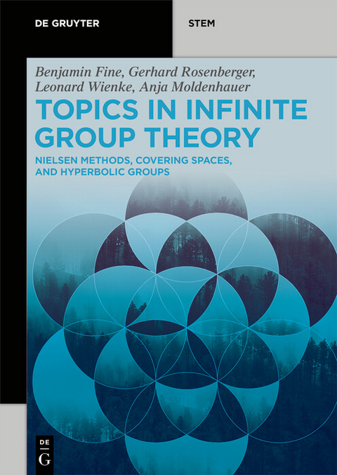 Topics in Infinite Group Theory -  Benjamin Fine,  Anja Moldenhauer,  Gerhard Rosenberger,  Leonard Wienke