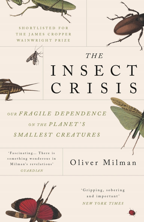 The Insect Crisis -  Oliver Milman