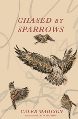 Chased By Sparrows -  Caleb Madison