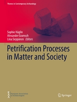 Petrification Processes in Matter and Society - 