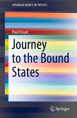 Journey to the Bound States - Paul Hoyer