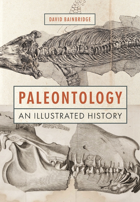 Paleontology -  David Bainbridge