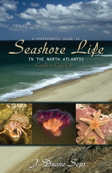 Photographic Guide to Seashore Life in the North Atlantic -  J. Duane Sept