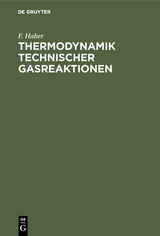Thermodynamik technischer Gasreaktionen - F. Haber