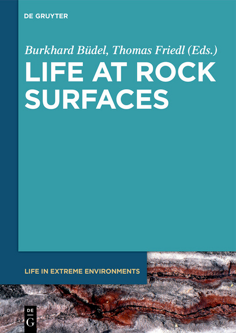 Life at Rock Surfaces - 