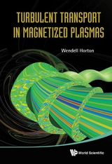 TURBULENT TRANSPORT IN MAGNETIZED PLASMA - Jr Horton  C Wendell