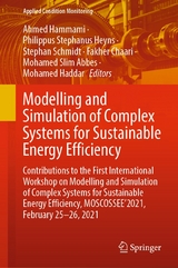 Modelling and Simulation of Complex Systems for Sustainable Energy Efficiency - 