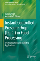 Instant Controlled Pressure Drop (D.I.C.) in Food Processing - 