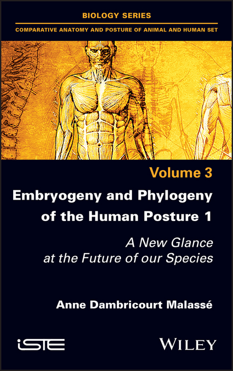 Embryogeny and Phylogeny of the Human Posture 1 -  Anne Dambricourt Malasse