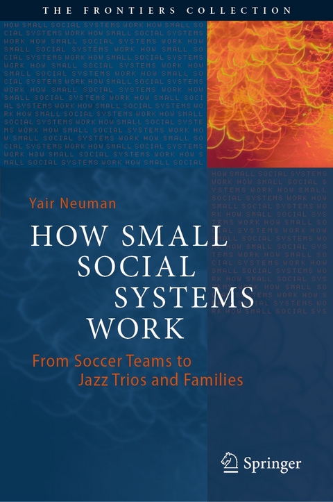 How Small Social Systems Work - Yair Neuman